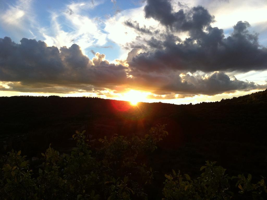 Gasthof Domaine D'angouire